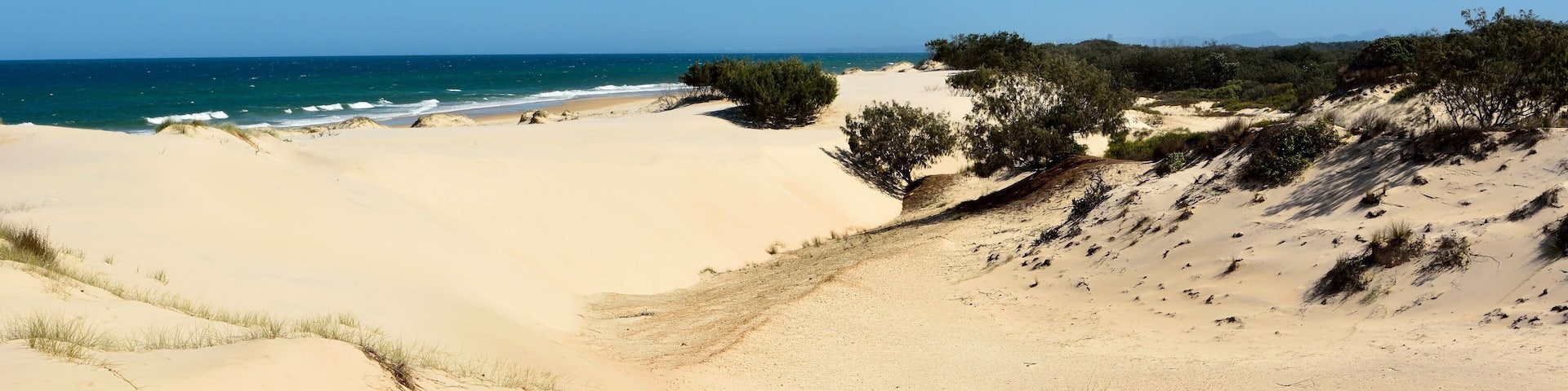 A sandy beach with dunes and sparse vegetation.