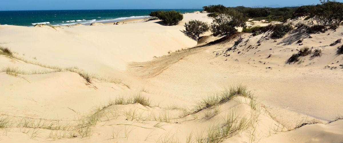 A sandy beach with dunes and sparse vegetation.
