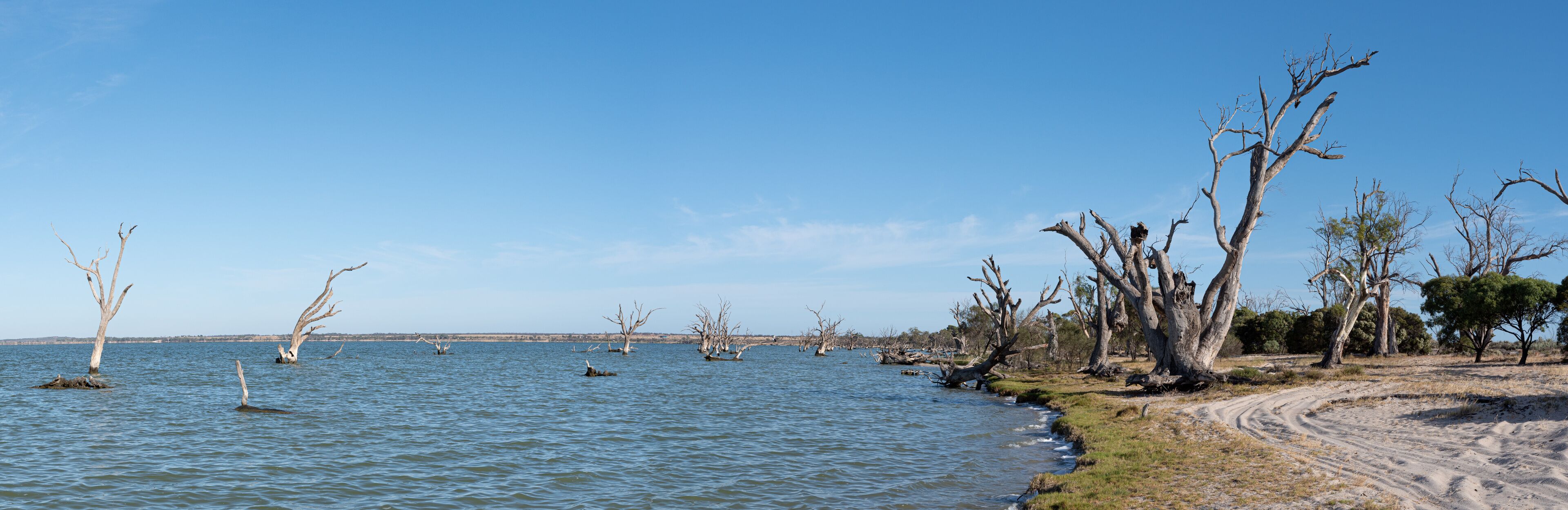 Lake Bonney Panorama, Barmera, South Australia. Popular area for camping and water sports. Australian touring destination.