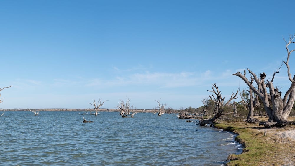 Lake Bonney Panorama, Barmera, South Australia. Popular area for camping and water sports. Australian touring destination.