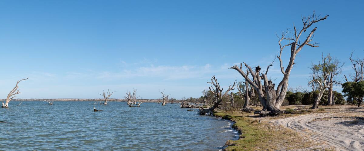 A river with dead trees and a sandy beach.