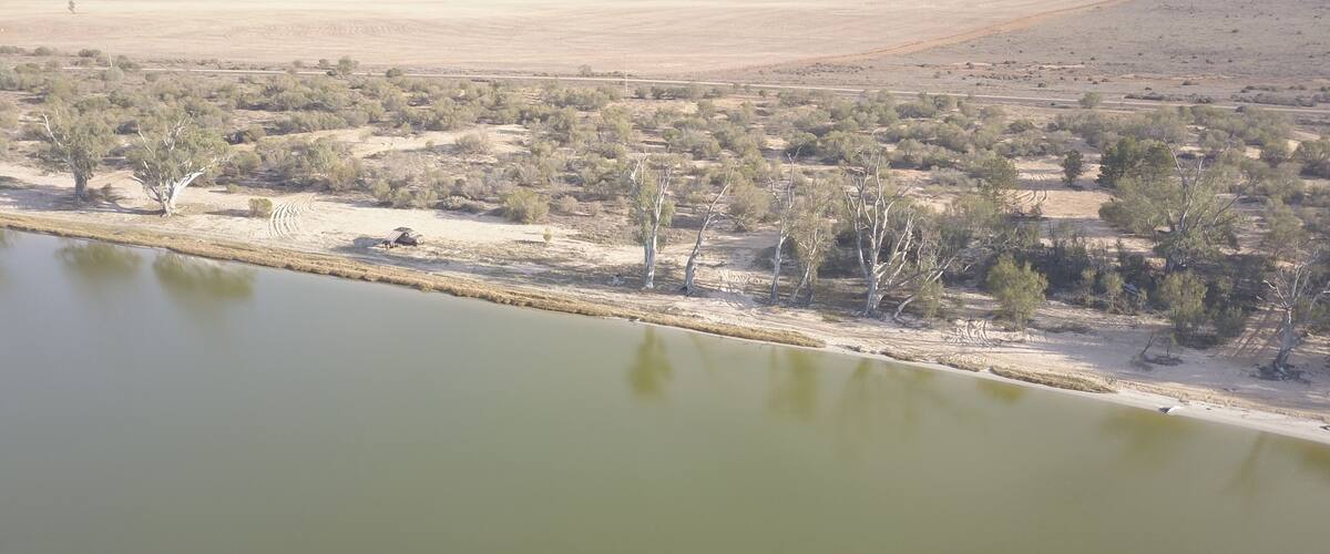 A large body of water with sparse vegetation and a few trees along the shore.