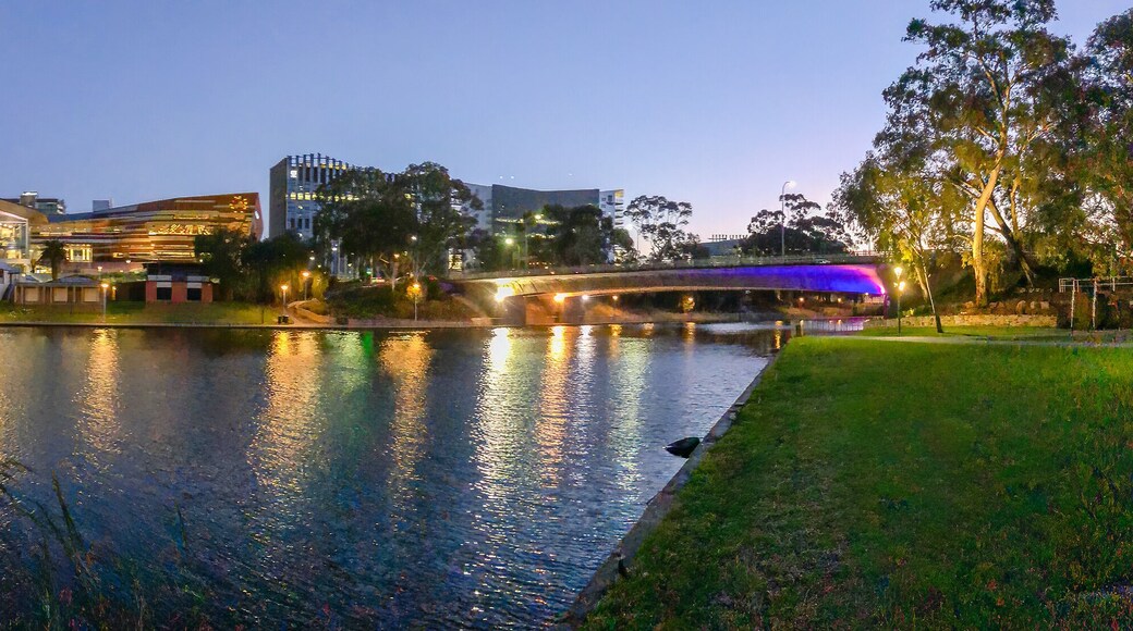 Adelaide panoramic view at night and Karrawirra Parri RIver