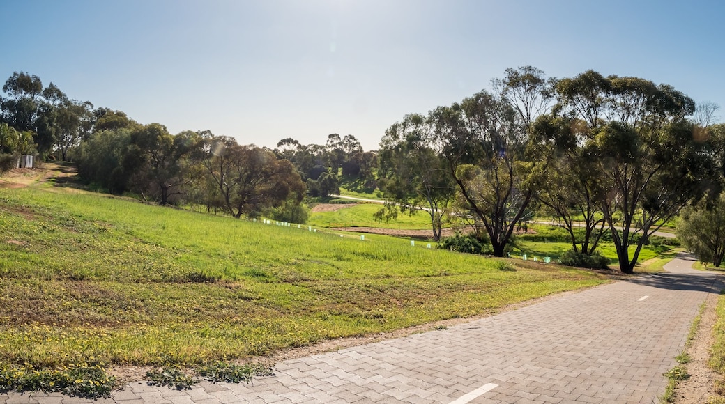 A paved pathway through a grassy field with trees and a clear sky.