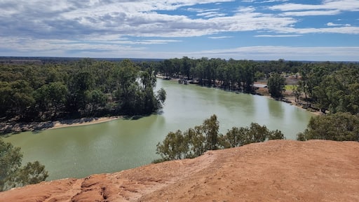 Looking down on the Murray River from a cliff at Loxton in South Australia