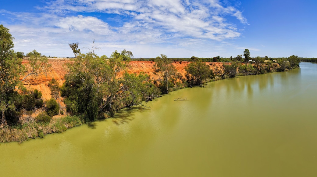 ๋จธ๋ ์ด ๋ธ๋ฆฌ์ง