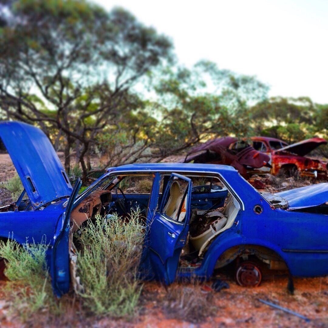 Thanks to the awesome WikiCamps community (an app where a huge community of Campers drop pins on an interactive map to capture (free) camp spots all over Australia, UK and the US), we got to camp on pretty wicked spots. Such as this one: an old car scrapyard that is no longer used. 

Dusk was approaching quickly, the first kangaroos were hopping alongside us - another day of driving in the outback came to an end. 

These days were beautifully simplistic. Drive, Eat, Sleep - repeat. And you know what? It's awesome to live by essentialism. A highlight was when we managed to find a hot shower along the way (which did not happen for three days...thank goodness for baby wipes, soap & water). Another highlight was to sit under the stars next to a campfire. And drink wine. And howl at the moon. And wake up seeing 50 kangaroos 'boing boing' past you. And have no worries apart from finding a petrol station and water. And a spot to sleep to repeat the whole thing all over again.

How much stuff do you own that you never use and which clogs ip too much of your time & attention? When was the last time you felt blissfully happy to have a hot shower? When have you last felt blissfully happy with what is essential in life? Food, Water, Sleep & most importantly: Love! What more do you need? 

Remind yourself of those little things...they occupy a big space in our lives but we often forget about it and attribute importance to unnecessary 'stuff'. Agree?

#alifefullofserendipity #serendipitytess #travel #traveling #travelblog #inspiration #essentialism #present #moment #photooftheday #photo #life #australia #wikicamp #outback #camping #happy #happiness #adventure #roadtrip
