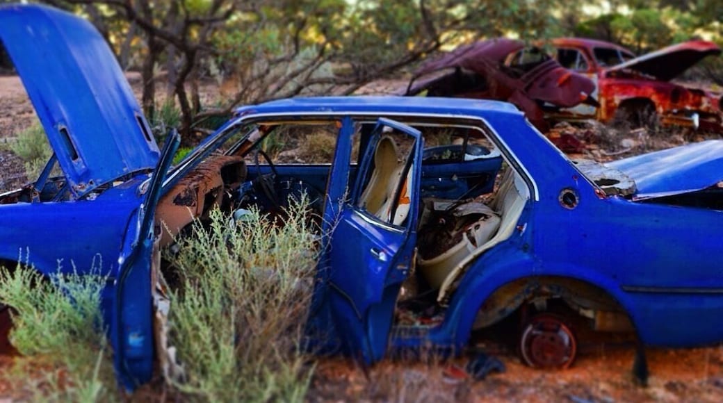 Thanks to the awesome WikiCamps community (an app where a huge community of Campers drop pins on an interactive map to capture (free) camp spots all over Australia, UK and the US), we got to camp on pretty wicked spots. Such as this one: an old car scrapyard that is no longer used.
Dusk was approaching quickly, the first kangaroos were hopping alongside us - another day of driving in the outback came to an end.
These days were beautifully simplistic. Drive, Eat, Sleep - repeat. And you know what? It's awesome to live by essentialism. A highlight was when we managed to find a hot shower along the way (which did not happen for three days...thank goodness for baby wipes, soap & water). Another highlight was to sit under the stars next to a campfire. And drink wine. And howl at the moon. And wake up seeing 50 kangaroos 'boing boing' past you. And have no worries apart from finding a petrol station and water. And a spot to sleep to repeat the whole thing all over again.
How much stuff do you own that you never use and which clogs ip too much of your time & attention? When was the last time you felt blissfully happy to have a hot shower? When have you last felt blissfully happy with what is essential in life? Food, Water, Sleep & most importantly: Love! What more do you need?
Remind yourself of those little things...they occupy a big space in our lives but we often forget about it and attribute importance to unnecessary 'stuff'. Agree?
#alifefullofserendipity #serendipitytess #travel #traveling #travelblog #inspiration #essentialism #present #moment #photooftheday #photo #life #australia #wikicamp #outback #camping #happy #happiness #adventure #roadtrip