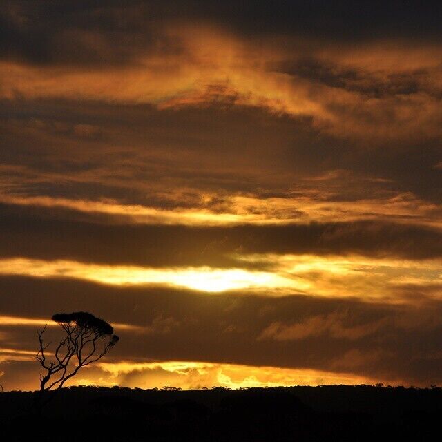 There truly isnt a sunset that can compare to a Nullarbor sunset. The whole sky was alight with colour.  #australia #travel #nullarbor

The best road trip is a cross country road trip!