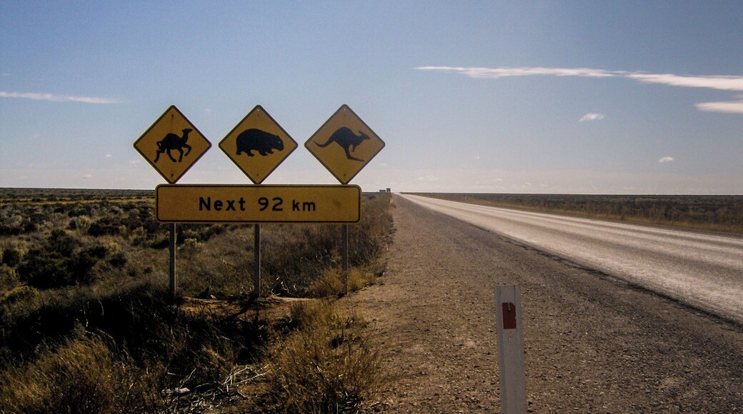 Crossing the Nullarbor of South Australia was one of the most fascinating things we've ever done. Roughly 1700km of hot, desolate, near-nothingness, punctuated by the odd tree or dead 'roo.
We camped on the side of the road when we could, until the wind sent our tent off like a tumbleweed one evening. Although I wouldn't call it the proper "outback", it was still an amazing experience.