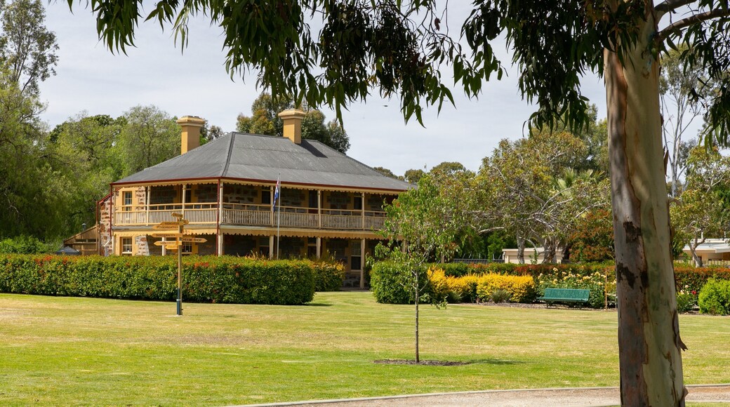 Nuriootpa showing a house and a park