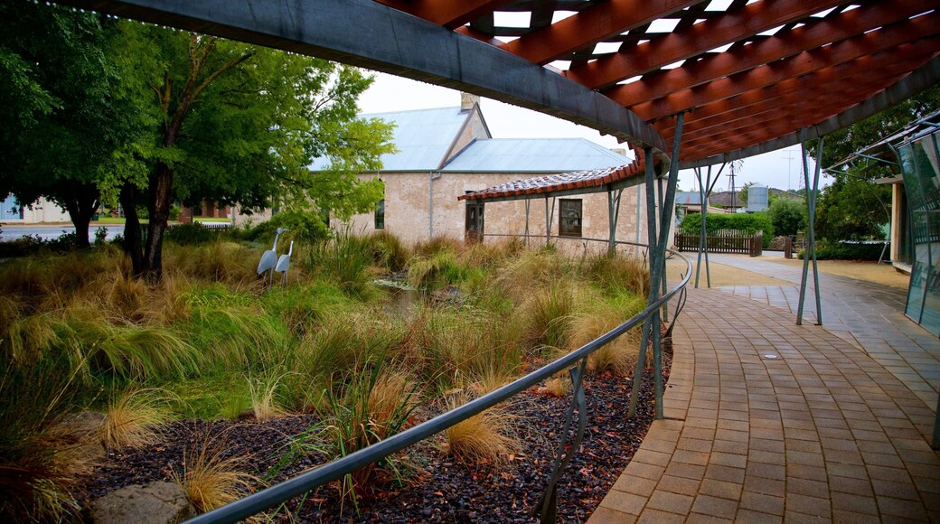 Penola qui includes parc