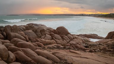 Port Elliot showing a sunset, general coastal views and rugged coastline