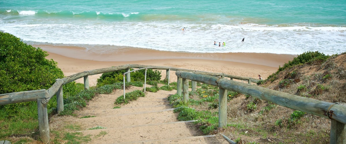 A sandy beach with a wooden staircase leading down to the water, surrounded by greenery.