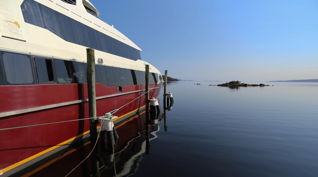Boat Harbour showing a bay or harbour and boating