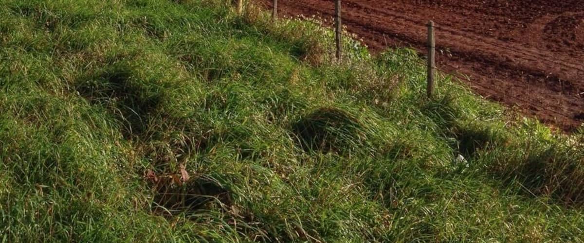 My favourite view in Tassie. That's Rocky Cape National Park in the distance.
You'll need to pull to the side of the highway to enjoy it but worth it don't you think?