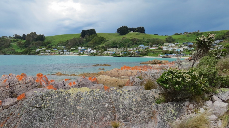 Boat Harbour ofreciendo vistas generales de la costa, una ciudad costera y costa escarpada