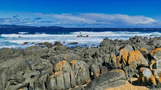Panorama of a rugged rocky coast and breaking waves on a stormy day. Low Head, George Town, in the Launceston region of northern Tasmania, Australia.