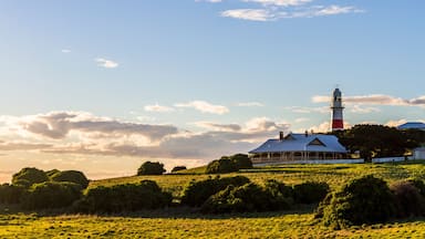 A lighthouse, a white house with a blue roof, and a grassy field under a clear sky.