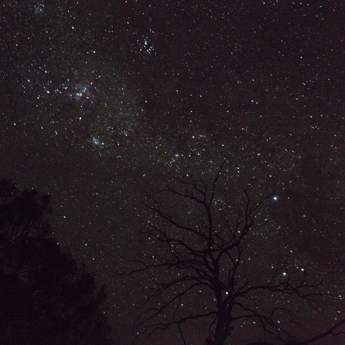 Milky Way in Tasmania