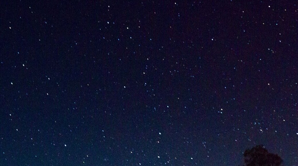 Tasmania Starry Night