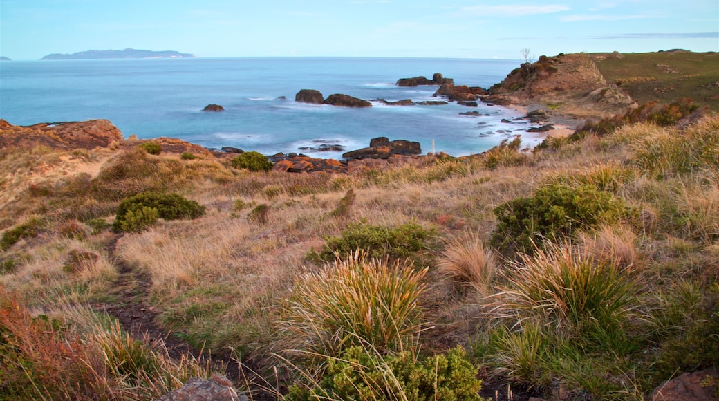 Swansea featuring landscape views, rugged coastline and general coastal views