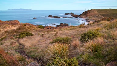 Swansea featuring landscape views, rugged coastline and general coastal views