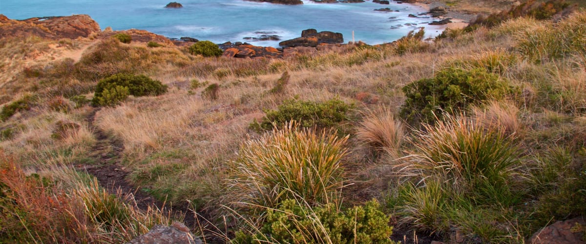 A coastal landscape with rocky outcrops, grassy terrain, and a view of the ocean.
