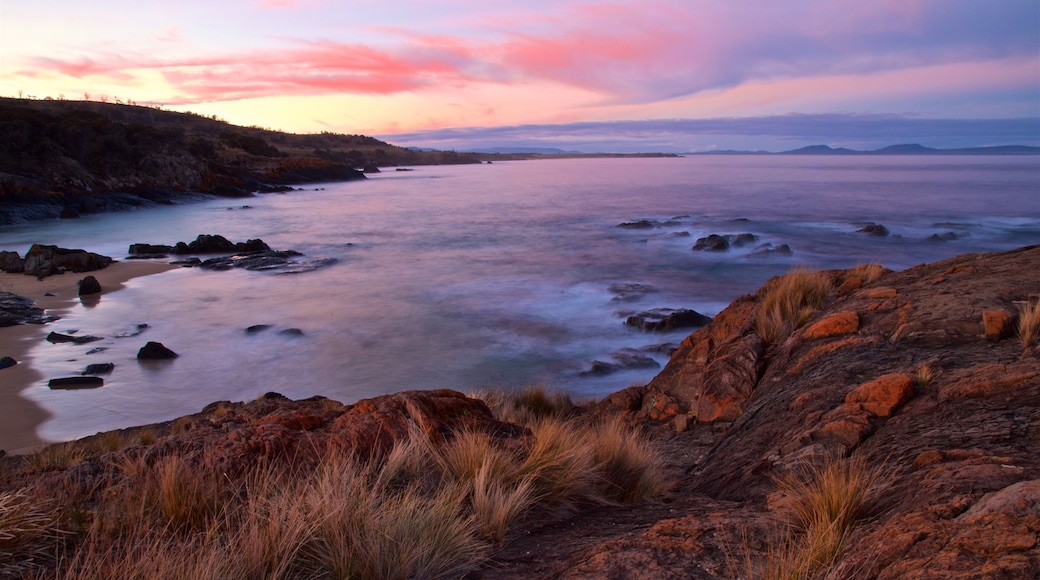 Swansea which includes rugged coastline, general coastal views and a sunset