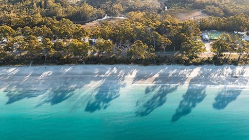 Triabunna