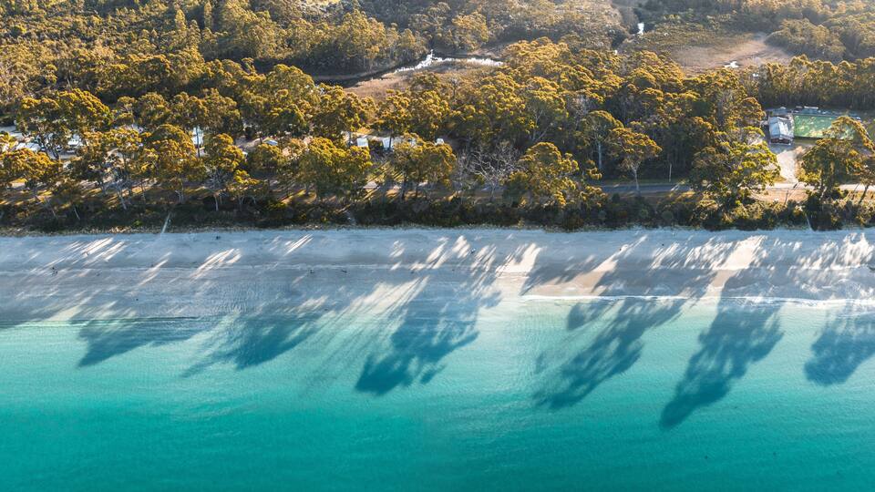 A coastal landscape with dense forest, clear turquoise waters, and a small settlement with buildings.