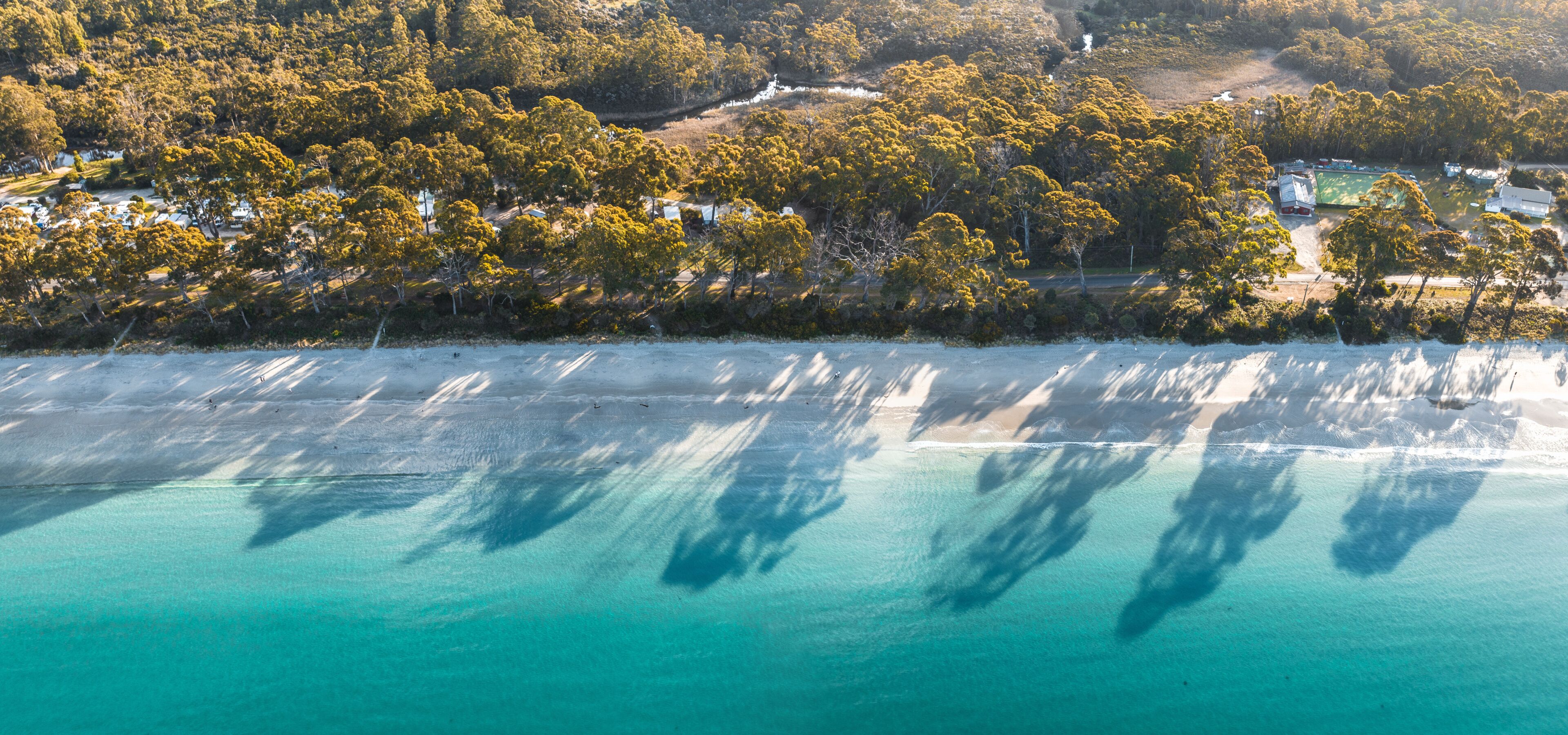 A coastal landscape with dense forest, clear turquoise waters, and a small settlement with buildings.