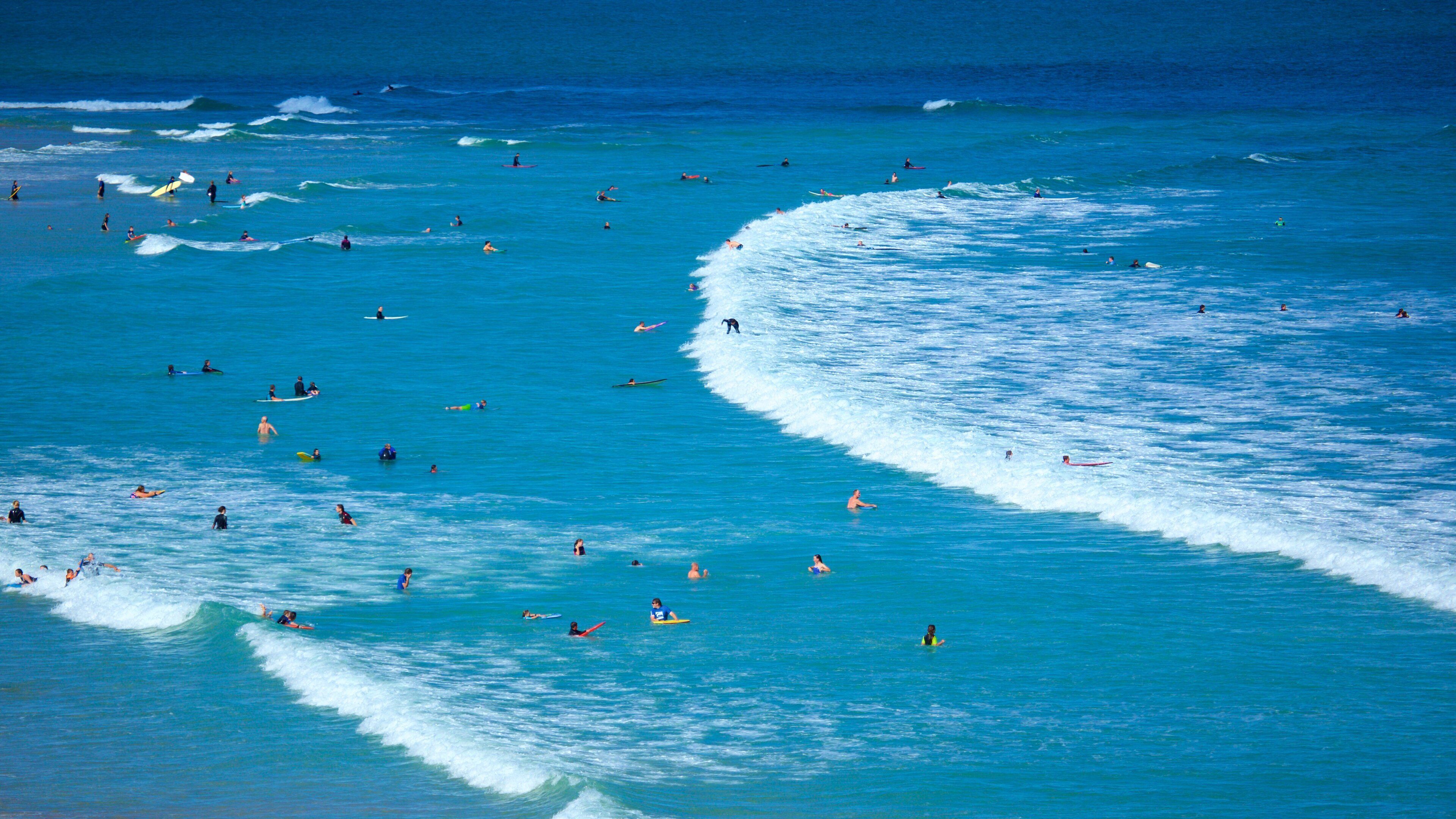 Anglesea showing surfing, surf and swimming