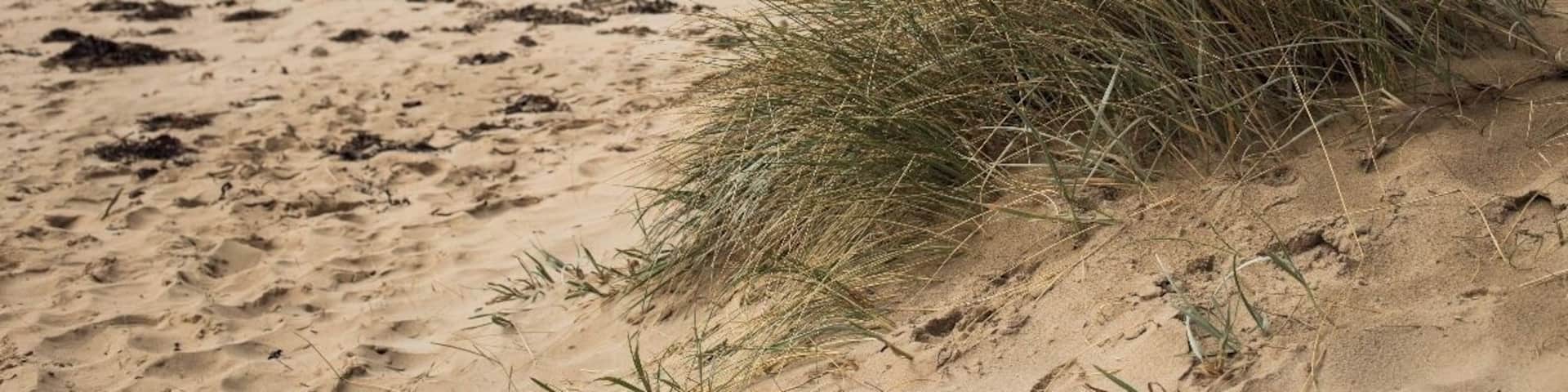 Beautiful beach near Anglesea on the Great Ocean Road. We stopped along here to let the kids run for a while. The beach was quite deserted while we were there, but I guess it is Autumn so perhaps beach holidays are not on everyone's hit list!
