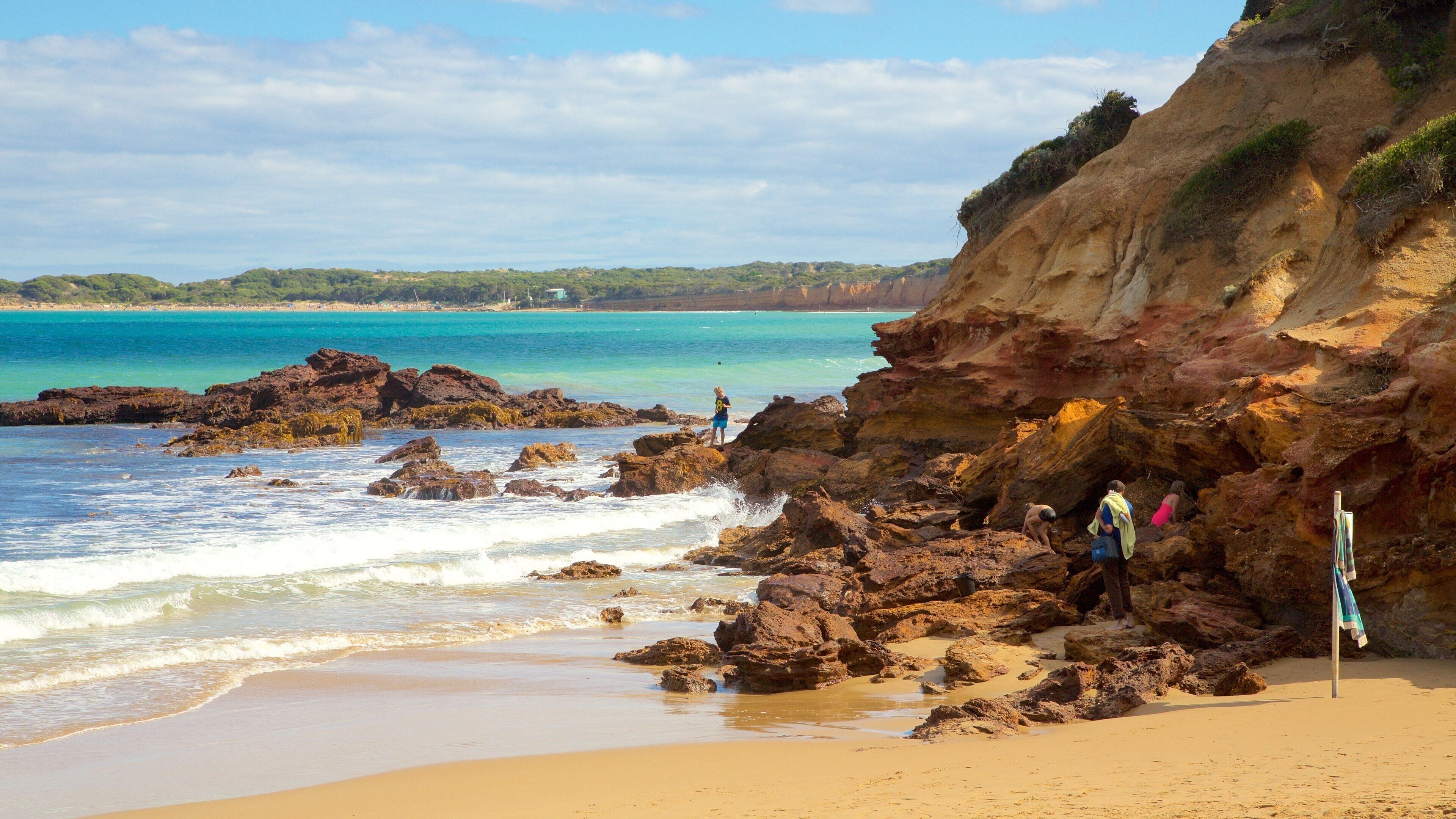 Anglesea showing rugged coastline and a beach