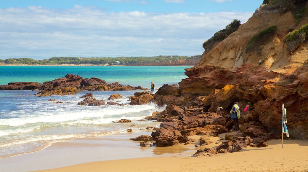 Anglesea showing rugged coastline and a beach
