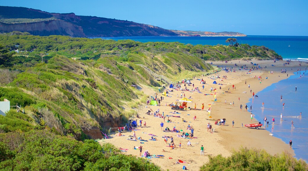 Anglesea qui includes plage de sable et baie ou port aussi bien que important groupe de personnes