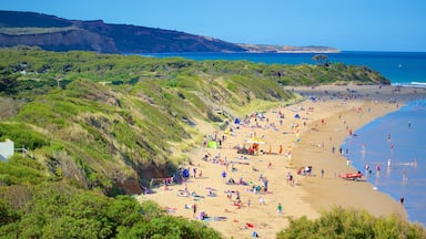 Anglesea som inkluderer sandstrand og bukt eller havn i tillegg til en stor gruppe med mennesker