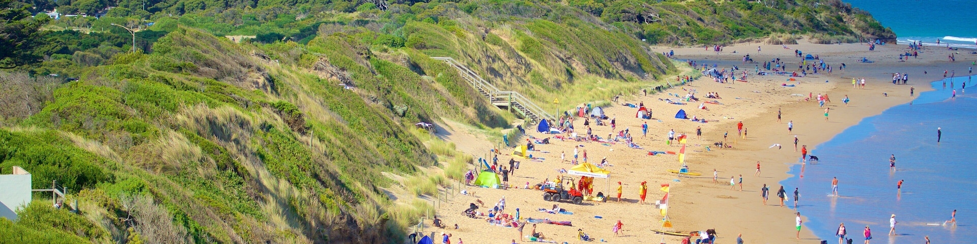 Anglesea mostrando uma baía ou porto e uma praia assim como um grande grupo de pessoas