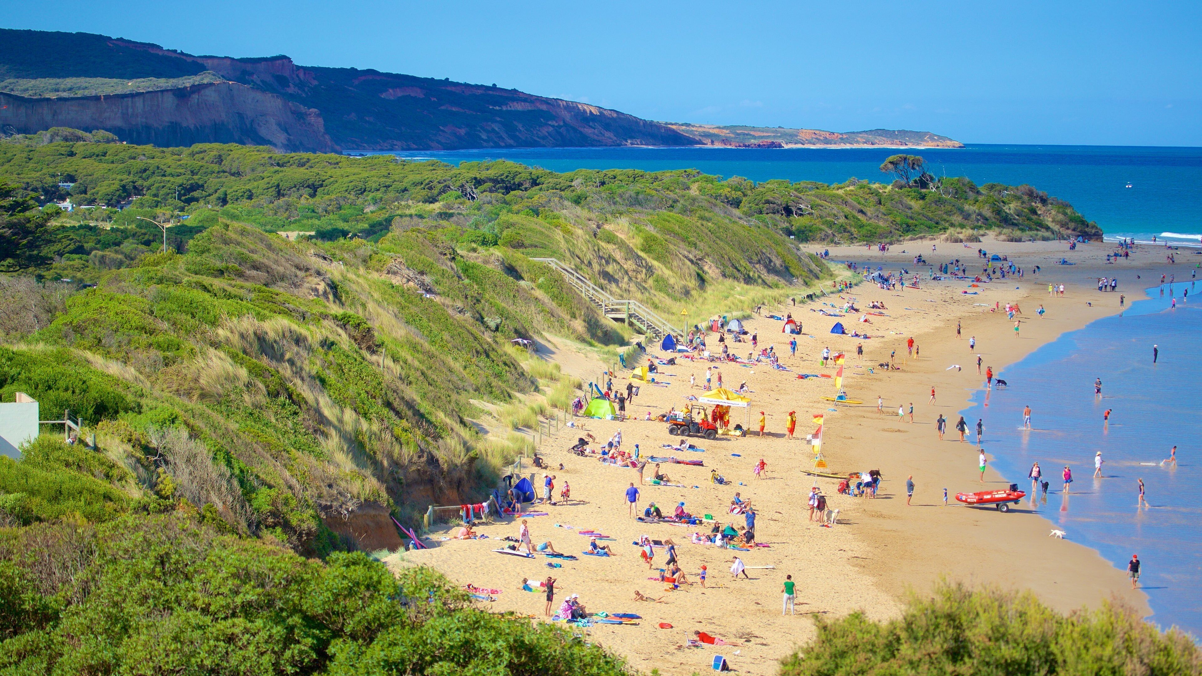 A coastal beach with people sunbathing and swimming, surrounded by green hills and cliffs.