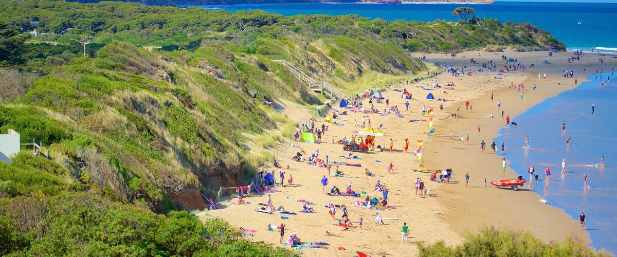 A coastal beach with people sunbathing and swimming, surrounded by green hills and cliffs.