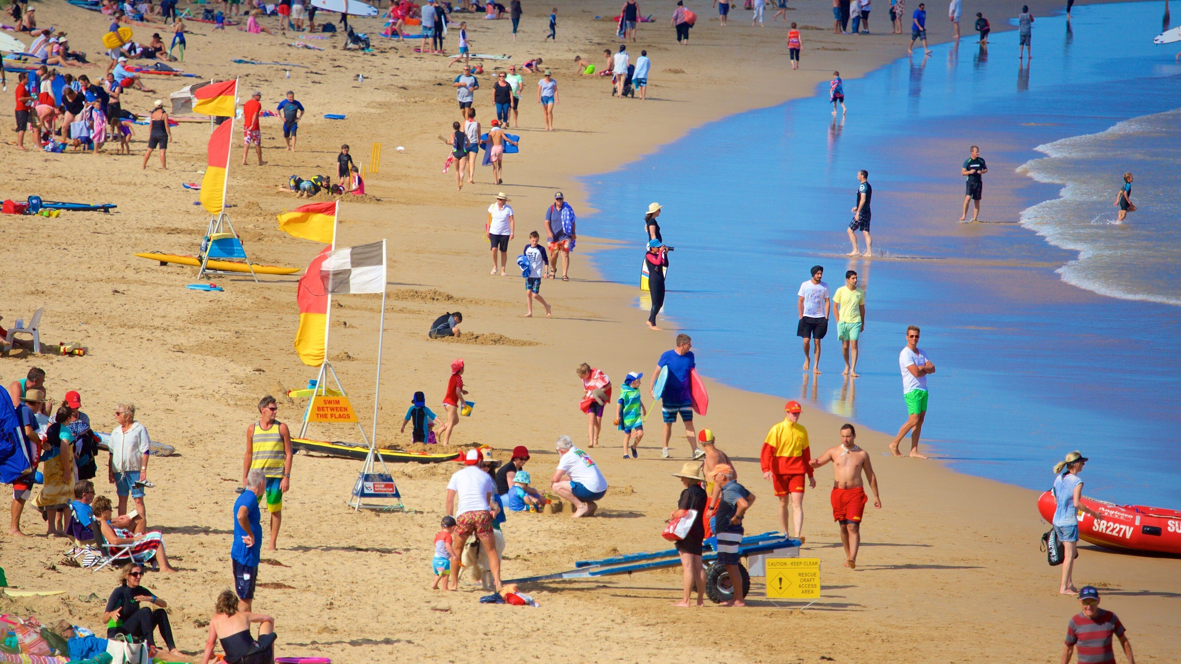 Anglesea mettant en vedette plage aussi bien que important groupe de personnes