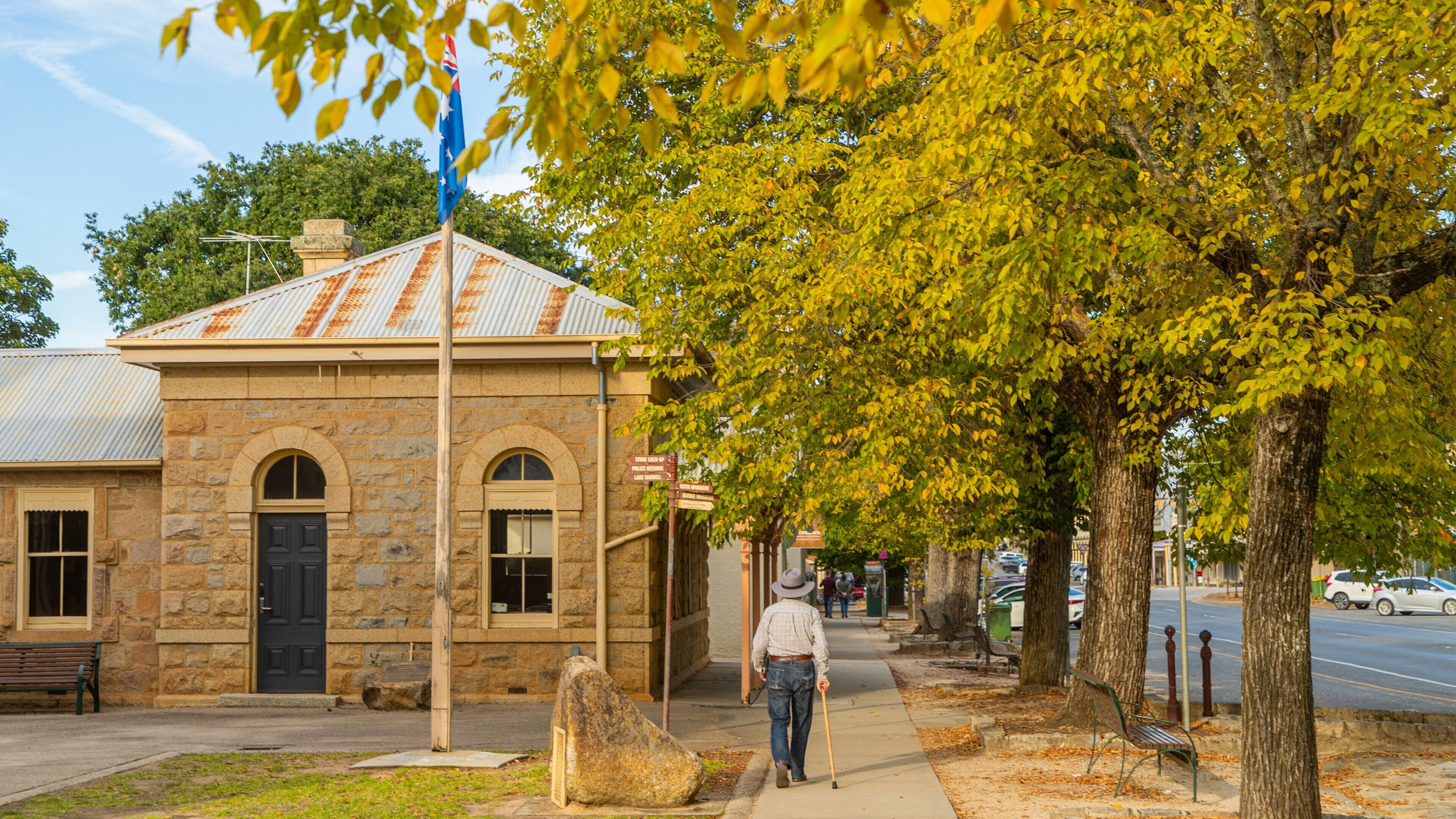 A stone building with a blue flag, a stone bench, and a tree-lined sidewalk.