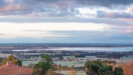 แคมเปอร์ดาวน์