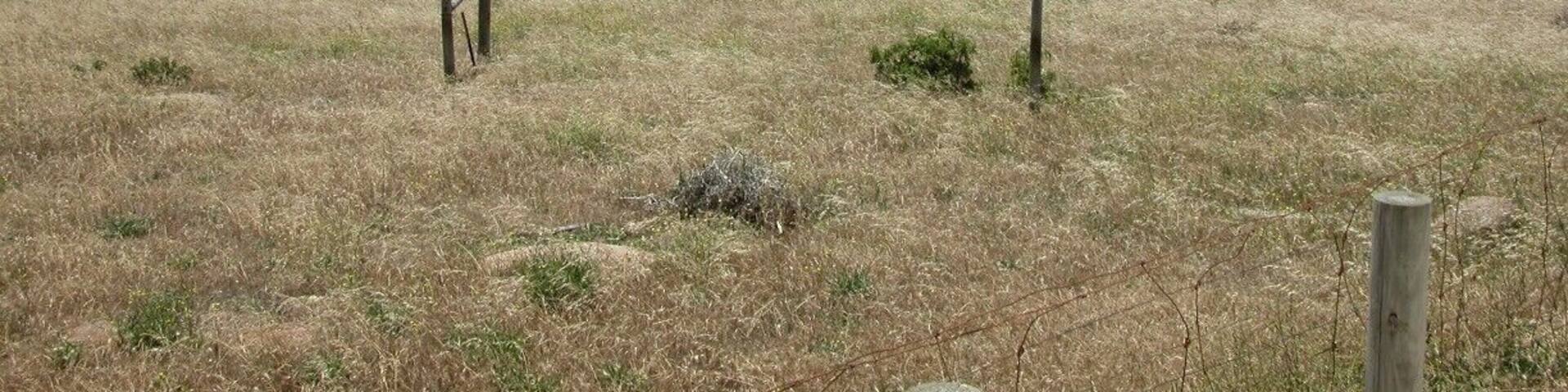 Cape Willoughby Lighthouse Keepers Heritage Accommodation! The sea is green coloured!!