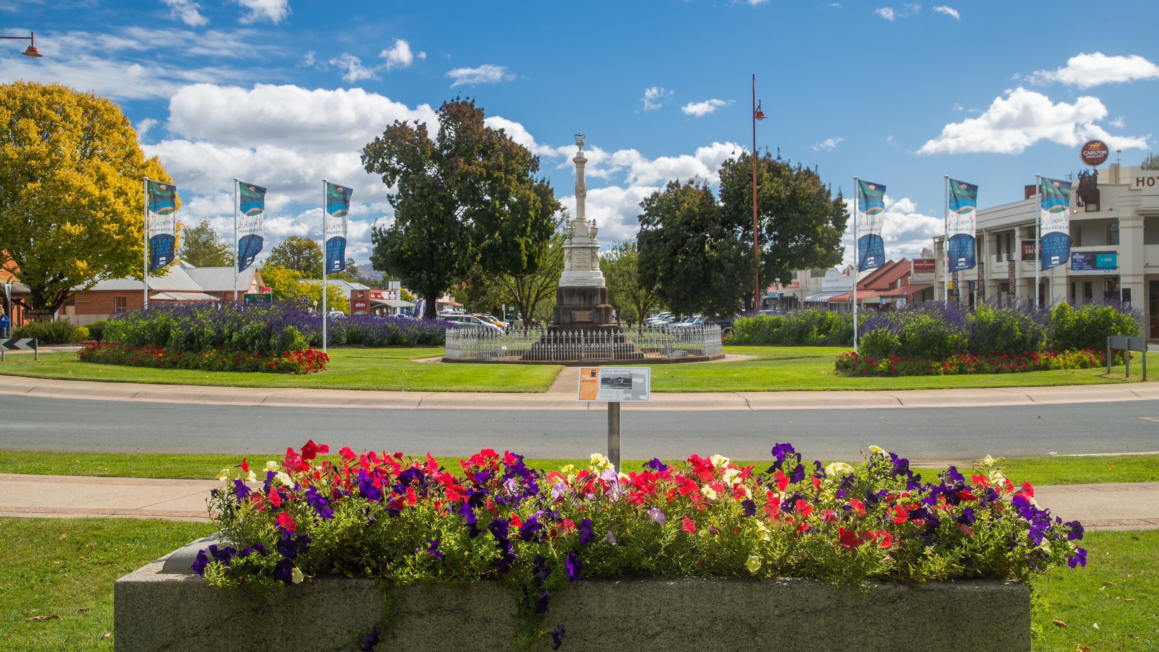 Mansfield which includes flowers