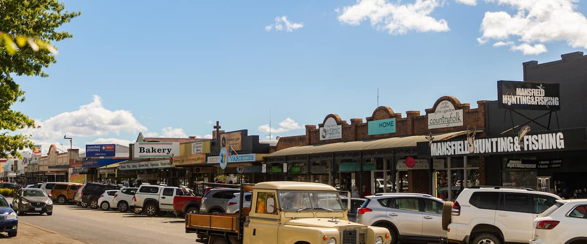 A busy street with various shops, including a bakery, a hunting and fishing store, and a country folk store.