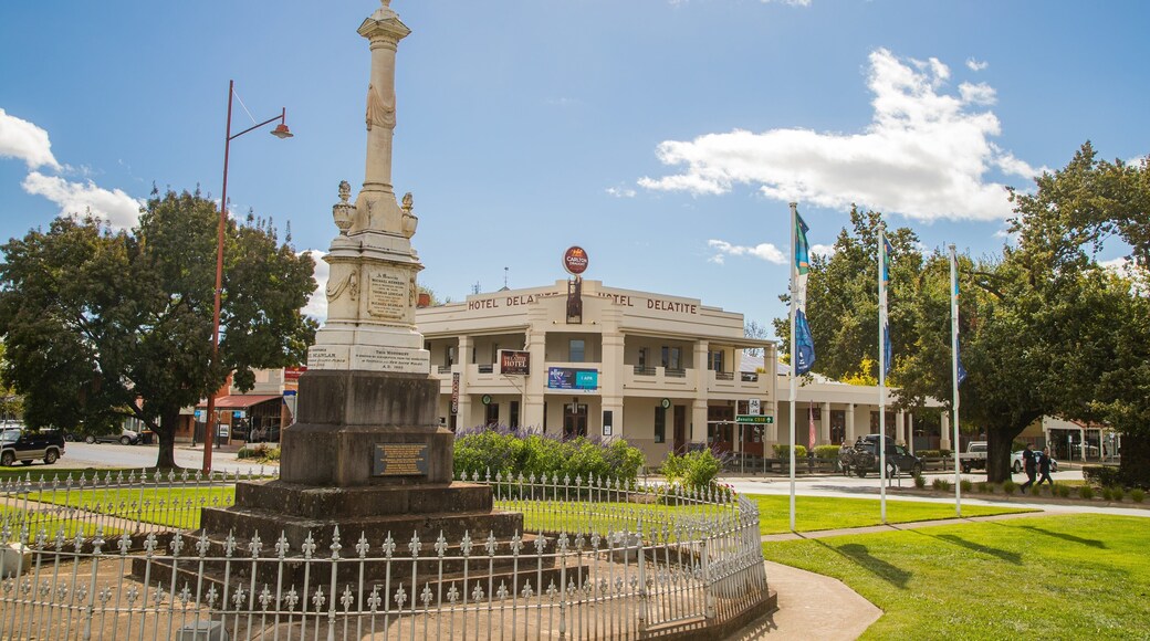 Mansfield showing a small town or village and a garden