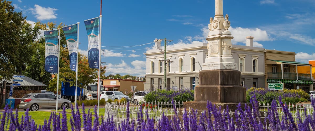 Mansfield featuring heritage architecture and wildflowers