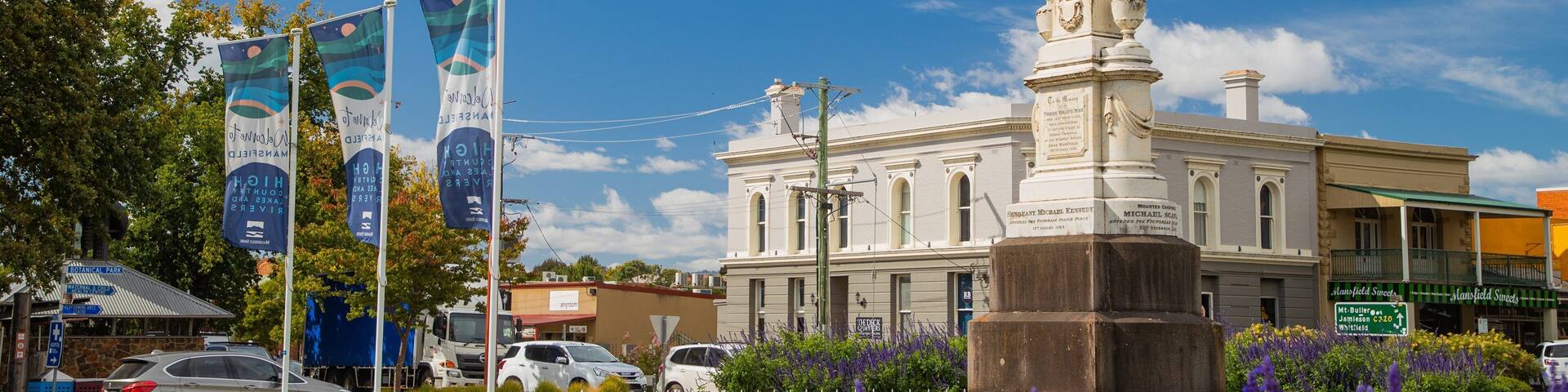 Mansfield featuring heritage architecture and wildflowers